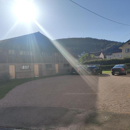 Le Cozy Nest Apartment Gerardmer Bagian luar foto