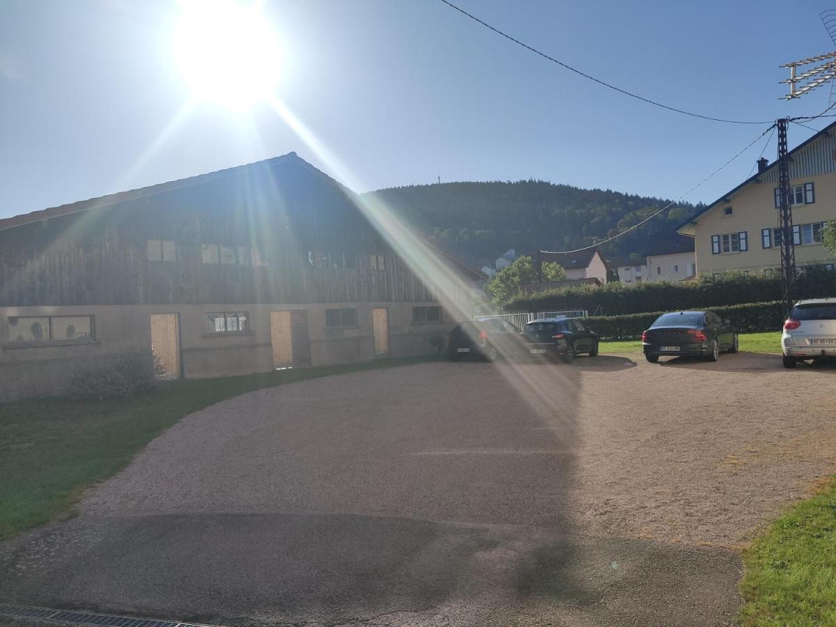 Le Cozy Nest Apartment Gerardmer Bagian luar foto